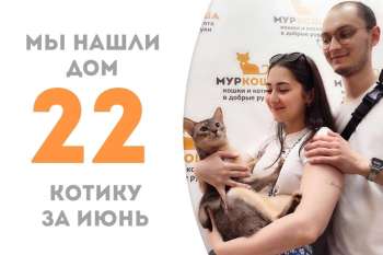 Спустя два месяца Лакси отправился домой!