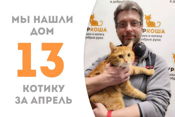 Четырехлетний Лайш встретил своего человека и стал домашним!