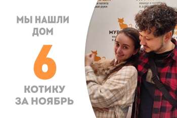 Чуть меньше трех месяцев понадобилось Леонидасу, чтобы обрести семью!