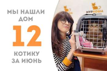 Шестилетний кот Левушкин начинает домашнюю жизнь!