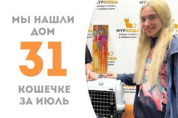 Либе встретила своих людей и стала домашней!