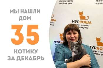 Лимпопоша уселся на ручках поудобнее и отправился домой встречать праздники!