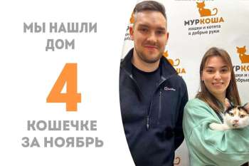 Лисёна обрела семью!
