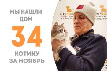 Чуть больше двух месяцев понадобилось Локису, чтобы встретить своего человека!