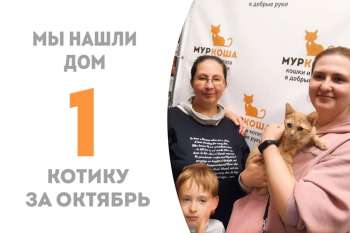 Чуть больше двух месяцев понадобилось Лопушку, чтобы обрести семью!