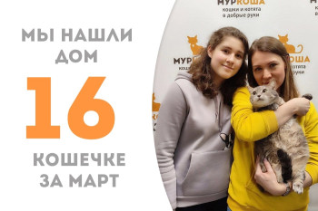 Четырехлетняя Лоренса нашла семью и дом!