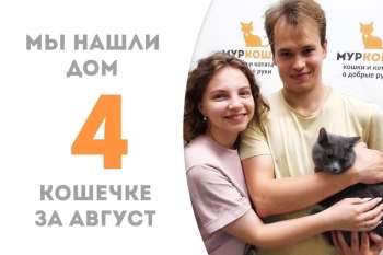 Луламея нашла свой дом и любимую семью!