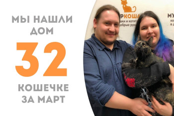 Молодая кошечка Луналикая в один годик и четыре месяца стала домашней!