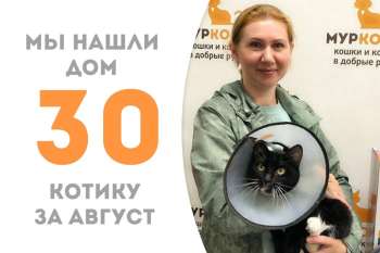 Мачо обрёл дом всего за 2 месяца!