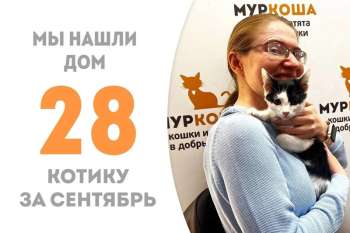 Всего за неделю Максимыч обрёл дом!