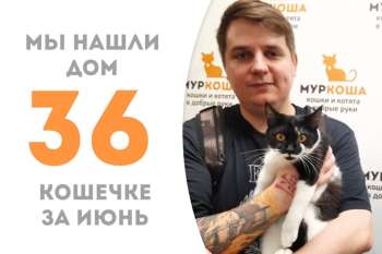 Маниша нашла своего человека и стала домашней меньше, чем за 2 месяца!