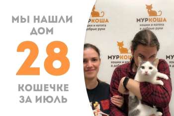 Машуница встретила свою семью!