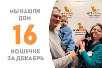 Через 3,5 месяца Маслинка попрощалась с приютом и отправилась домой!
