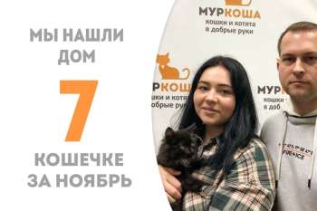 Не прошло и двух недель, как Матрена Пухова стала домашней!