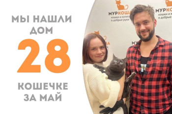 Шоколадная Мэллори обрела новый дом!