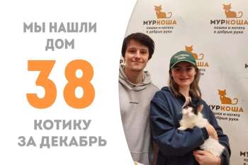 Три месяца понадобилось Мевиусу, чтобы стать домашним!