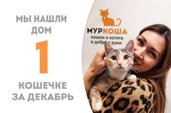 Менее двух месяцев понадобилось Милиоти, чтобы стать домашней!