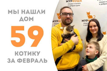 Полугодовалый Милон отправился домой!