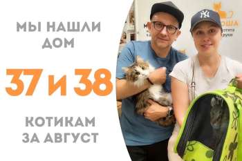 Минато и Нэйли стали домашними!