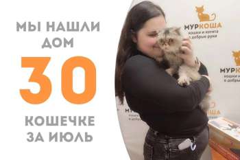 Миралинда нашла дом за два месяца!