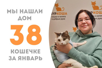 Кошечка Мийя за два месяца в приюте нашла себе добрую семью!