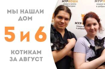 Менее 1,5 месяца понадобилось Мизинчику и Цыфиркину, чтобы стать домашними!