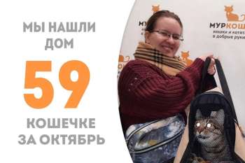 Модаша стала домашней любимицей!