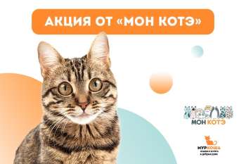 Акция от бренда "Мон котэ"