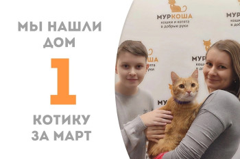 Меньше месяца потребовалось шестилетнему Морковочкину, чтобы встретить своих людей.