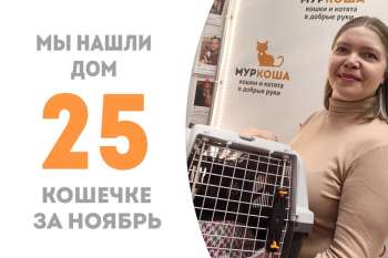 Не сразу все устроилось, Москва не сразу строилась... но наша Москва обрела семью!