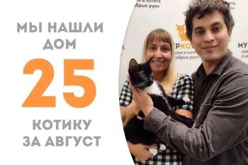 Немногим больше месяца прошло, и Мурсель обрёл дом!