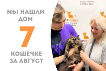 Мусса снова домашняя!