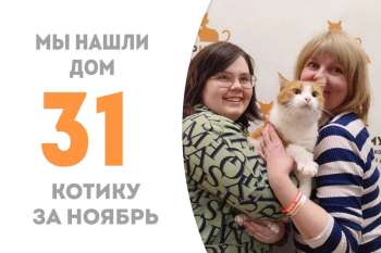 Мявчик через 3 с небольшим месяца уезжает к нашему фотографу, волонтёру и куратору!