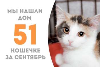 Всего через 1,5 месяца Нахиде улыбнулась удача!