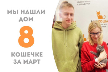 Котёнок Намба, не пробыв в приюте и месяца, обрела семью и дом!