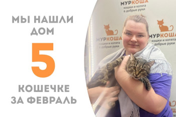 Красавица Наполи стала домашней и любимой!