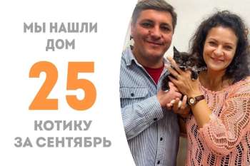 Всего за 2 недели Нокс нашёл семью!