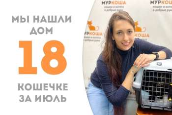 Всего за месяц встретила свою хозяйку Нубия!
