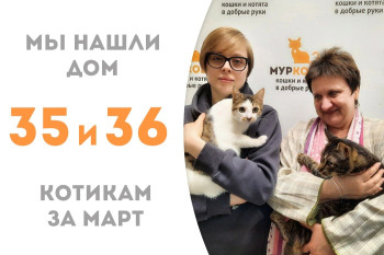 Кошечке Окрошке и молодому котику Пуфику понадобилось чуть меньше двух месяцев, чтобы обрести семью, да не простую, а с названым братиком – нашим выпускником Эриком!