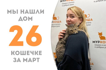 Одиннадцатимесячная Олери стала домашней!