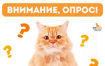 Внимание, опрос от "Муркоши"!