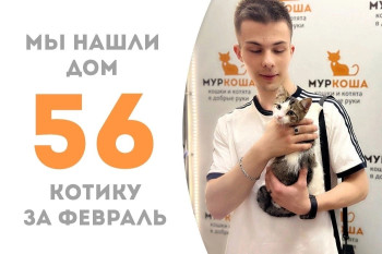 Котенок Орешек стал домашним спустя два месяца!