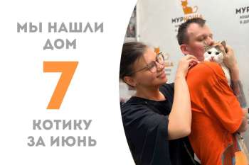 У котика Оруэлла появились дом и семья!