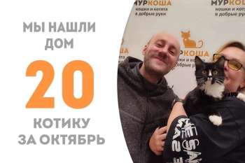 За 3 с небольшим месяца Откутюр нашёл семью!