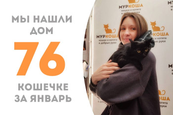 Кошечка Паетка обрела дом и добрую хозяйку!