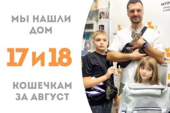 За 1,5 месяца Парма и Рафинад нашли свою чудесную семью!