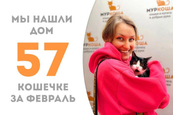 Кошечка Патрикия начинает свою домашнюю историю!