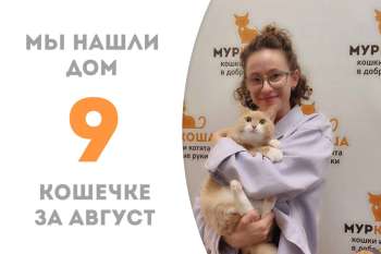 Патрисия Каас встретила своего человека и стала домашней!