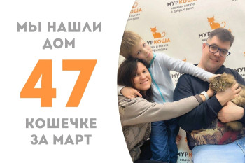 Годовалая Паулина нашла семью за полтора месяца!