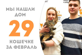 Кошечка Персида отправилась навстречу домашнему счастью!